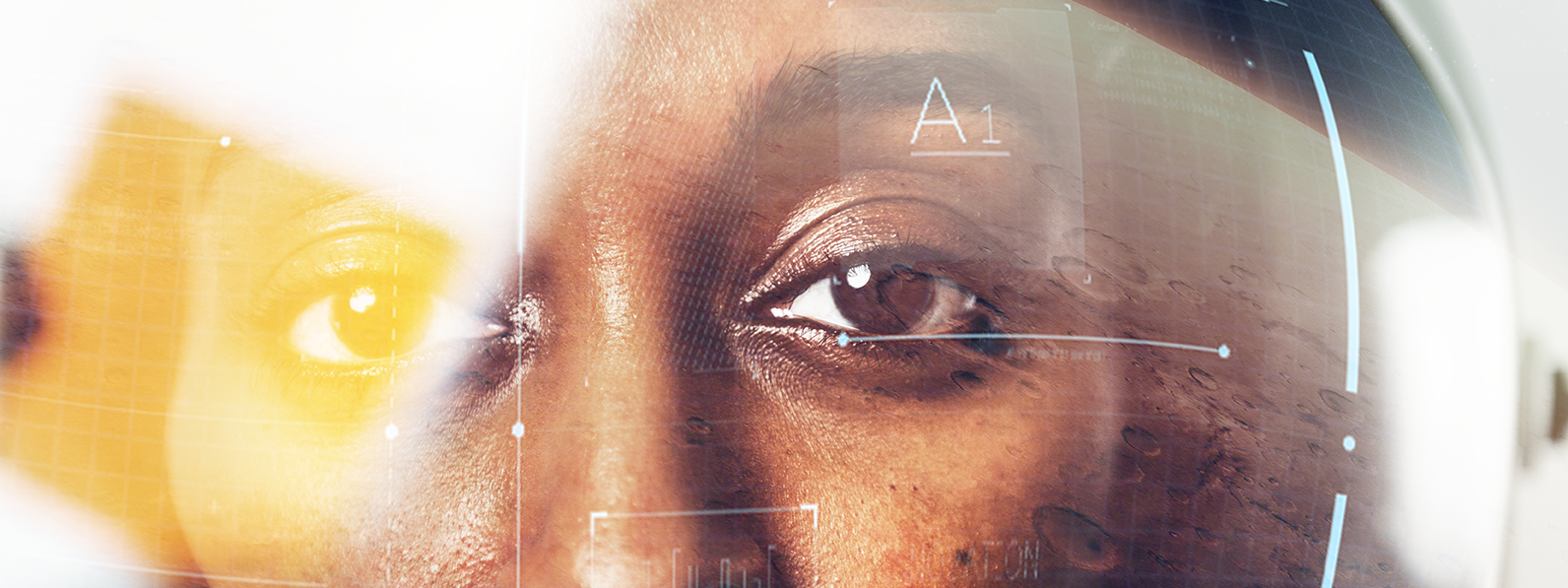 Rechercher dans les catégories