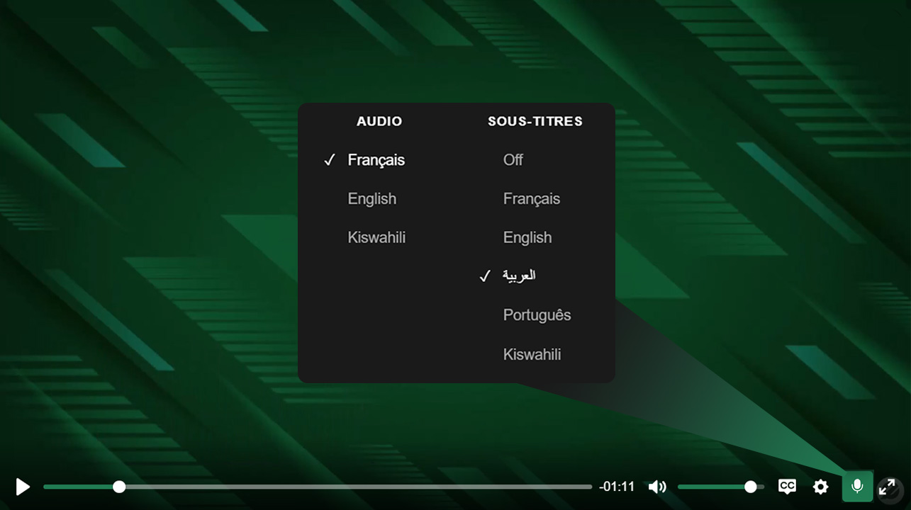 Pourquoi nous avons développé une IA pour doubler et transcrire les vidéos de formations sur Eforma Africa